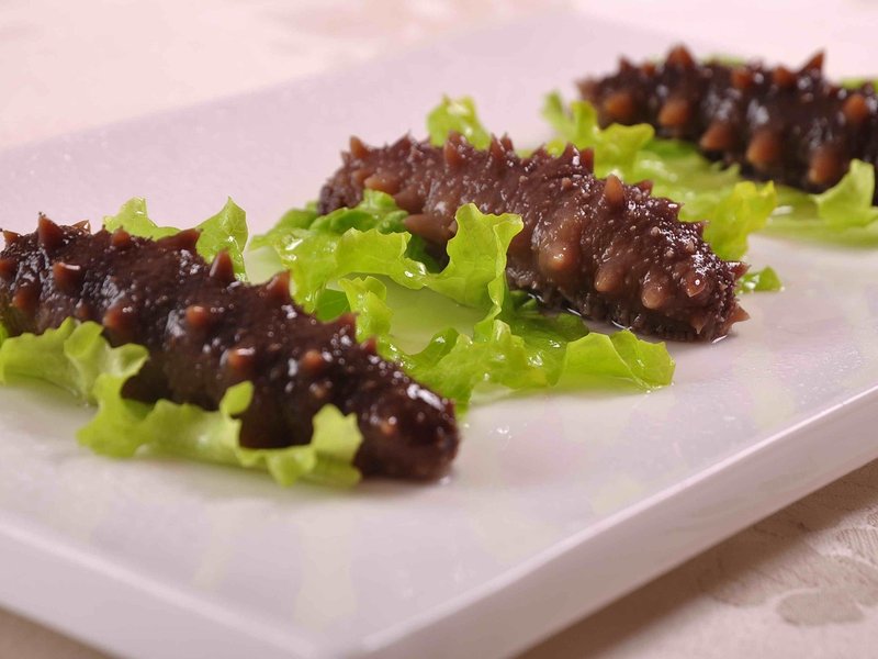 Nest Fern